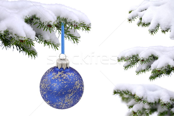 [[stock_photo]]: Noël · temps · evergreen · épinette · arbre · verre