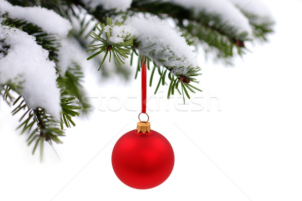 Zdjęcia stock: Christmas · czasu · wiecznie · zielony · wystroić · drzewo · szkła