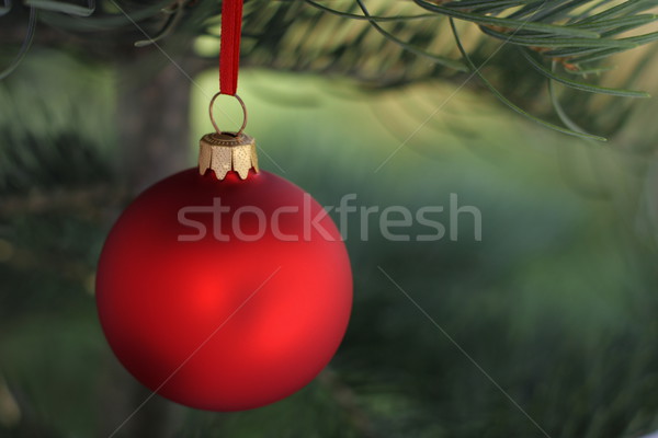 Christmas time Stock photo © kaczor58