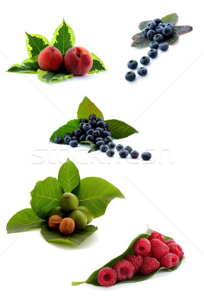 Ripe fruit, autumnal harvest collection Stock photo © kaczor58