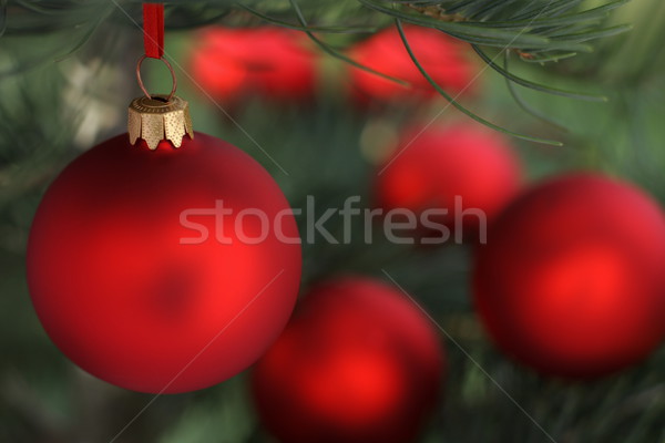 Noël temps evergreen épinette arbre verre [[stock_photo]] © kaczor58