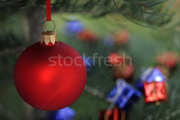 Noël temps evergreen épinette arbre verre [[stock_photo]] © kaczor58