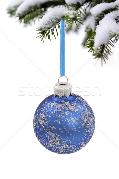 Noël temps evergreen épinette arbre verre [[stock_photo]] © kaczor58