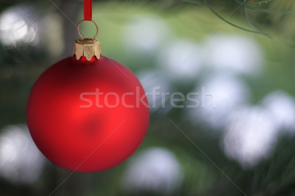 Noël temps evergreen épinette arbre verre [[stock_photo]] © kaczor58