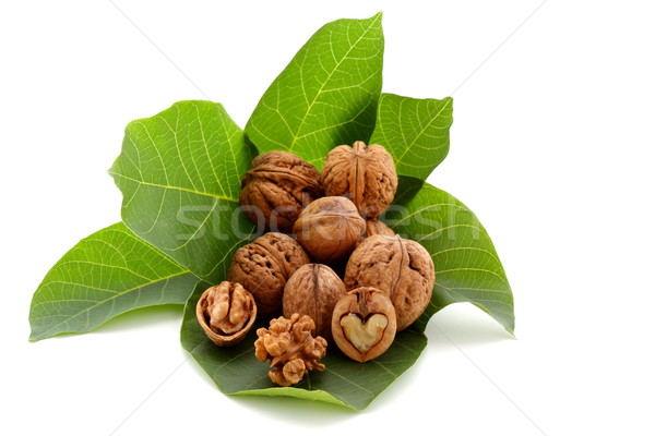 Walnut on green leaf Stock photo © kaczor58