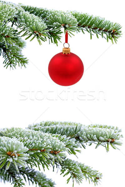 Christmas time Stock photo © kaczor58