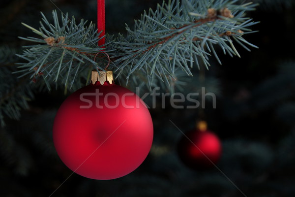 Christmas time Stock photo © kaczor58