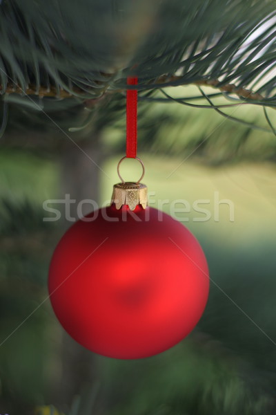 Christmas time Stock photo © kaczor58