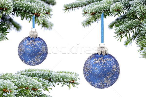 [[stock_photo]]: Noël · temps · evergreen · épinette · arbre · verre