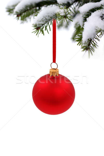 Noël temps evergreen épinette arbre verre [[stock_photo]] © kaczor58