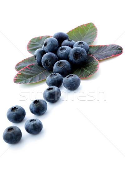 Ripe blackberry fruit, autumnal harvest time Stock photo © kaczor58