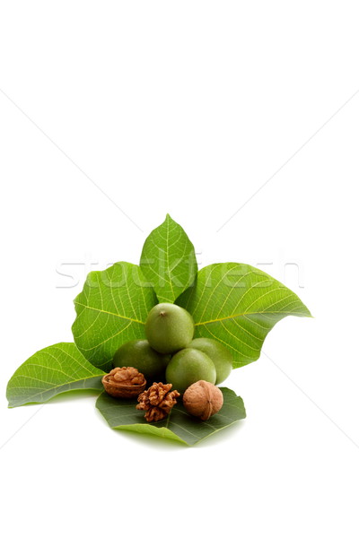 Walnut on green leaf Stock photo © kaczor58