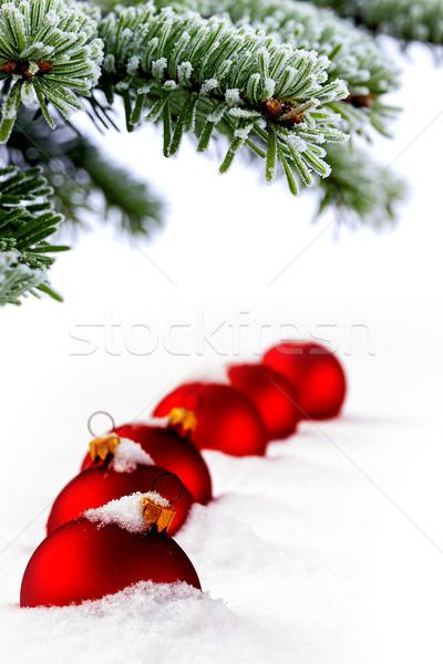 Noël temps evergreen épinette arbre verre [[stock_photo]] © kaczor58