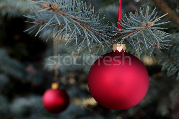 Christmas time Stock photo © kaczor58