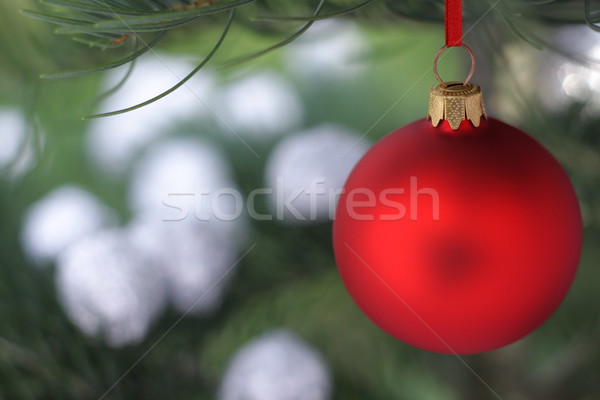 Noël temps evergreen épinette arbre verre [[stock_photo]] © kaczor58