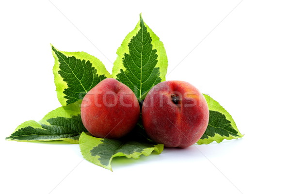 Ripe peach fruit, autumnal harvest time Stock photo © kaczor58