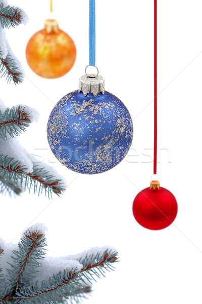 [[stock_photo]]: Noël · temps · evergreen · épinette · arbre · verre