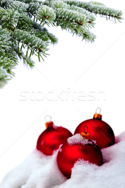 Christmas time Stock photo © kaczor58