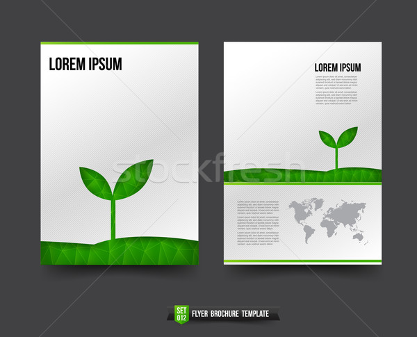 Flyer Broschüre Ökologie grünen Polygon Element Stock foto © kaikoro_kgd