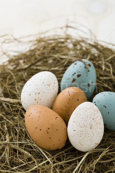 œufs de Pâques nid paille [[stock_photo]] © Kajura