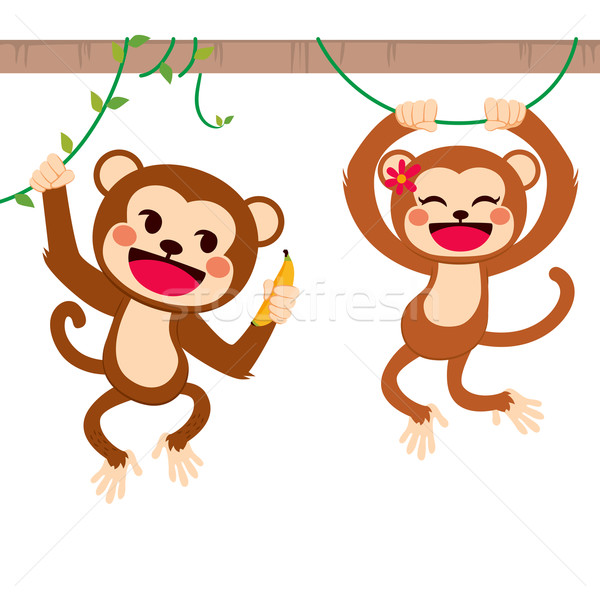 Funny Monkeys On Liana Stock photo © Kakigori