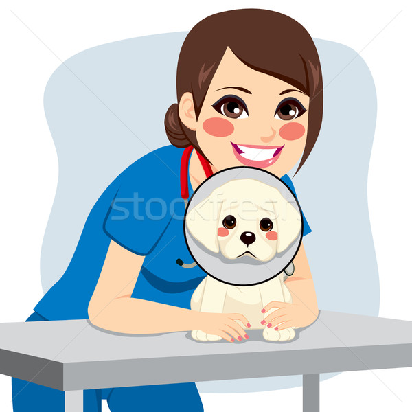 Lekarz weterynarii psa cute mały stożek szczęśliwy Zdjęcia stock © Kakigori