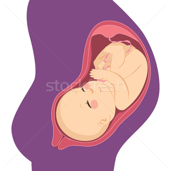 Bebé vientre útero humanos feto mamá Foto stock © Kakigori