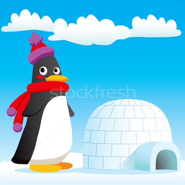 Stock fotó: Pingvin · új · otthon · boldog · áll · új · jégkunyhó