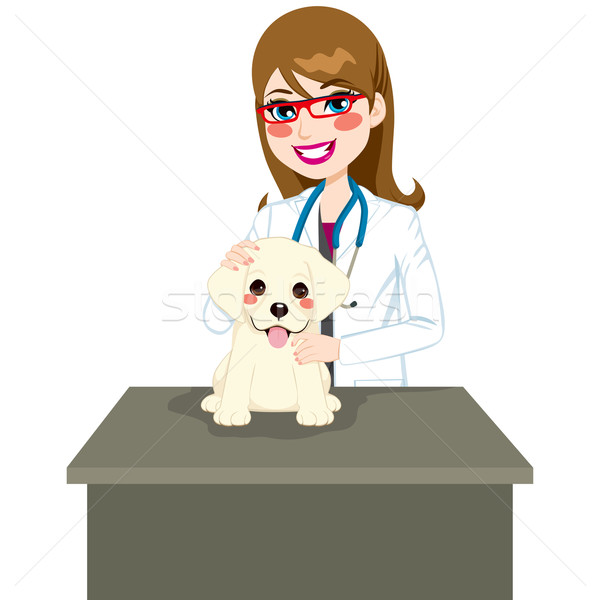 Szczeniak lekarz weterynarii cute labrador posiedzenia tabeli Zdjęcia stock © Kakigori