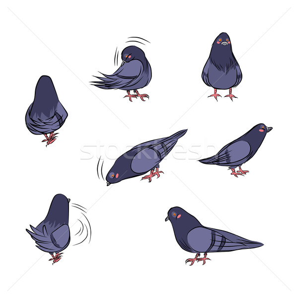 Cartoon Pigeon Actions Stock photo © Kakigori