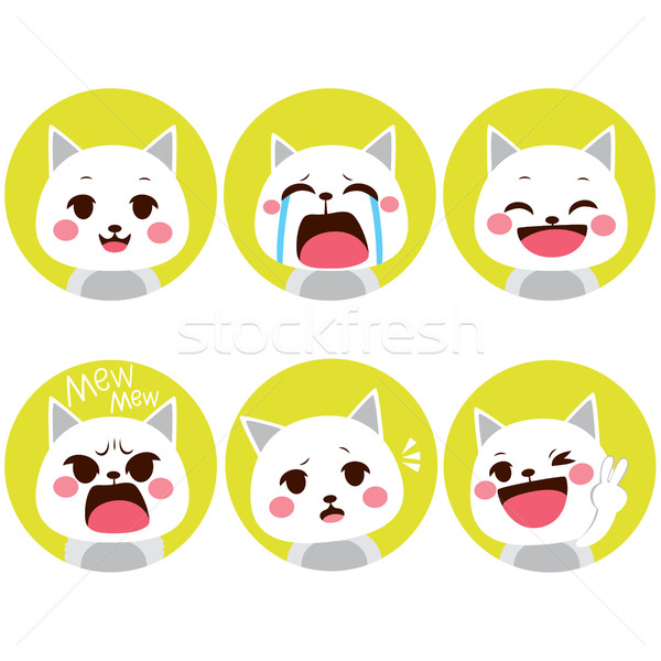 Macska kifejezések kicsi díszállat aranyos cica Stock fotó © Kakigori