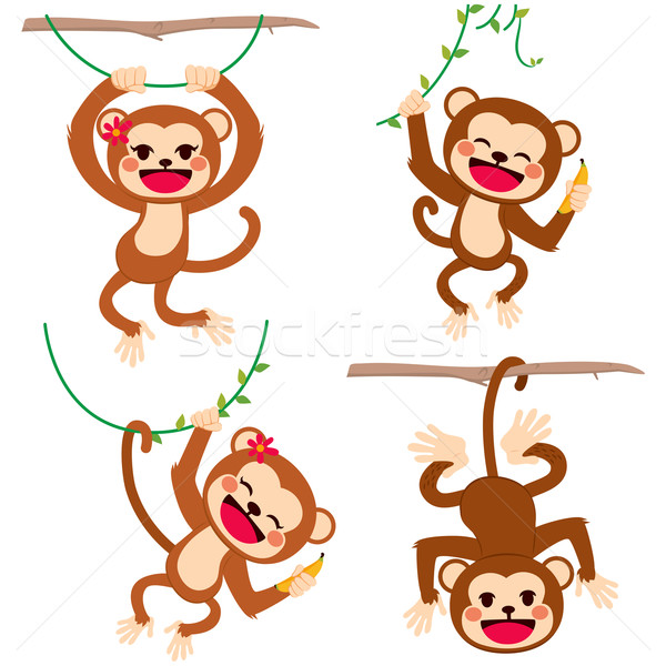 Funny Monkeys Playing Stock photo © Kakigori