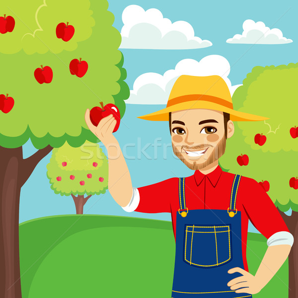 Zdjęcia stock: Rolnik · czerwone · jabłko · młodych · człowiek · drzewo