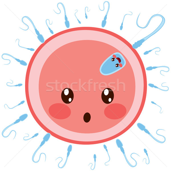 Sperma ei cel staart pasgeboren embryo Stockfoto © Kakigori