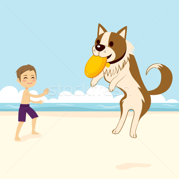 Dog Catching Flying Disk Stock photo © Kakigori