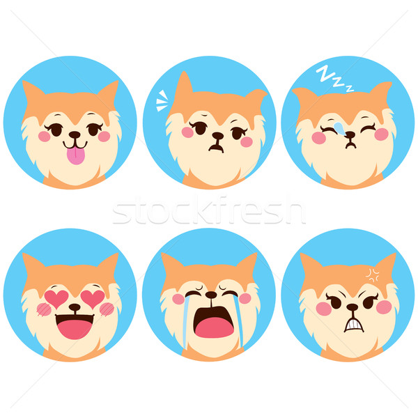 Köpek ifadeler küçük evcil hayvan sevimli yüz ifadeleri Stok fotoğraf © Kakigori