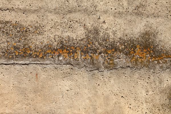 Edad pared setas concretas amarillo textura Foto stock © kalozzolak