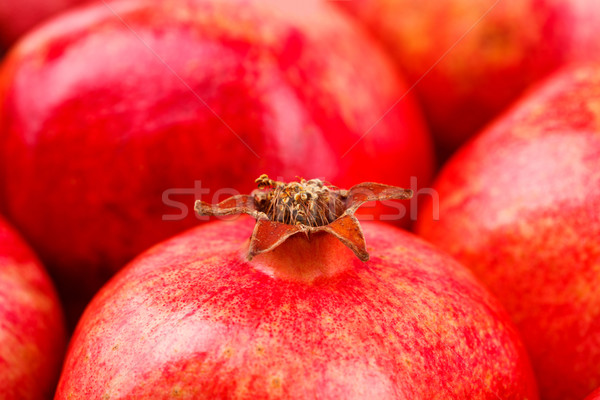 Pomegranate Stock photo © kalozzolak