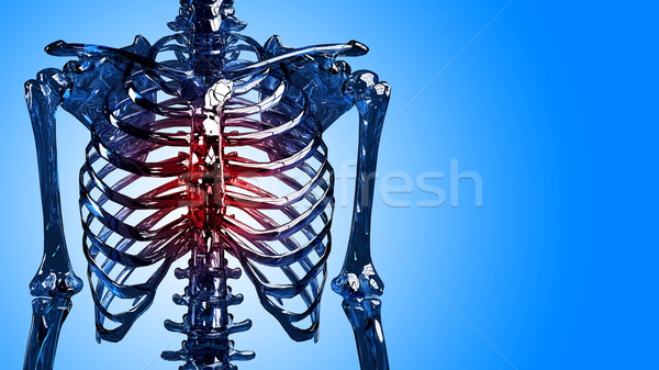 Skeleton chest pain Stock photo © kalozzolak