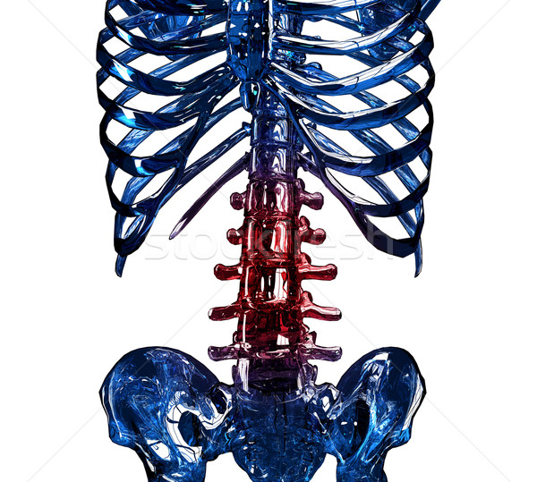 3D pozycja żebro ból szkielet Zdjęcia stock © kalozzolak