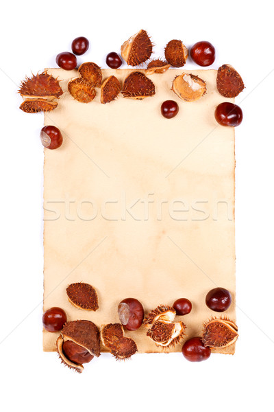 Notepaper with chestnuts Stock photo © kalozzolak
