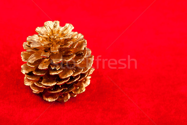 Stock photo: Closeup view of golden pine cone