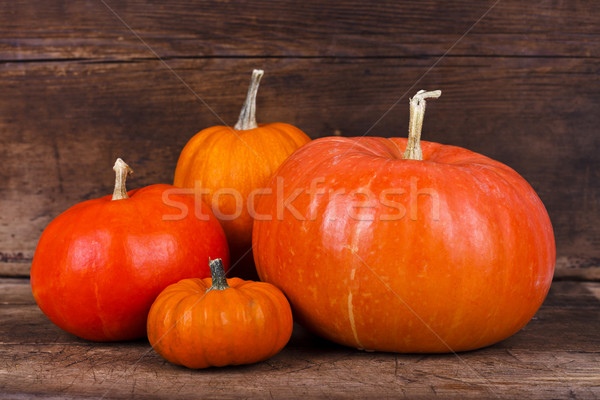 Citrouille famille quatre orange automne [[stock_photo]] © kalozzolak