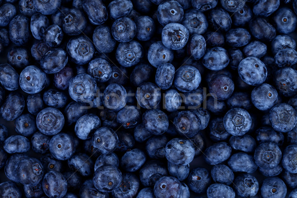 Bleuets fraîches fruits santé fond régime alimentaire [[stock_photo]] © kalozzolak