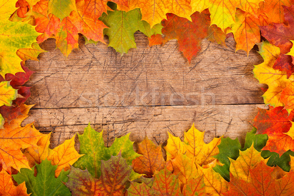 Automne feuille frontière feuille d'érable rustique bois [[stock_photo]] © kalozzolak