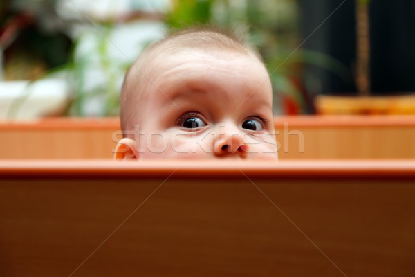 Peu bébé regarder sur fille [[stock_photo]] © kalozzolak