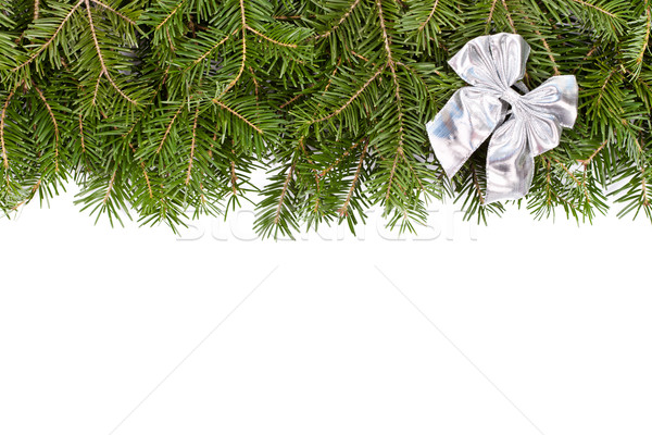 Pine takje zilver boeg frame christmas Stockfoto © kalozzolak