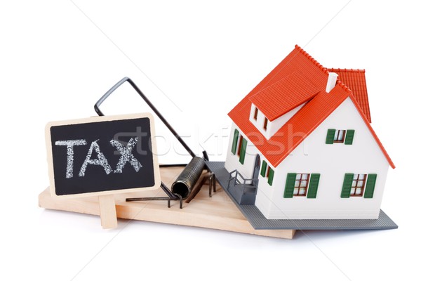 Tax as a mousetrap Stock photo © kalozzolak