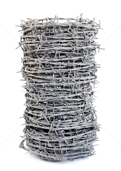 Barbed wire Stock photo © kalozzolak
