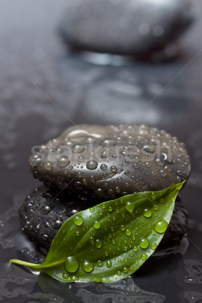 Сток-фото: тень · зеленый · лист · zen · камней · за · воды